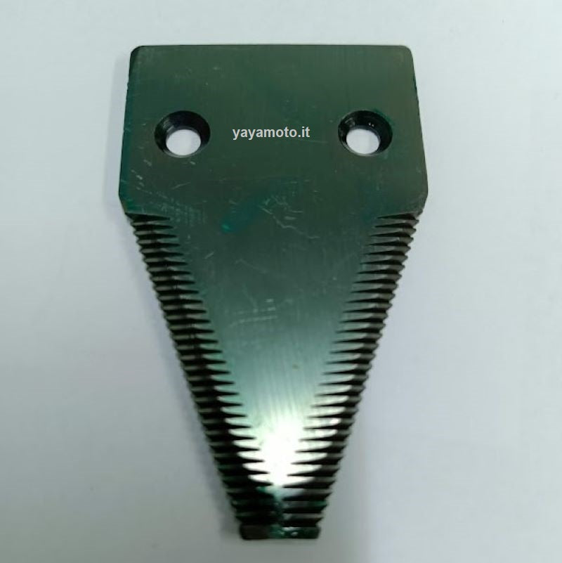 Piercing E Allungamento Delle Orecchie Con Guanti Blu Medico Aumentare Il Diametro Dei Tunnel